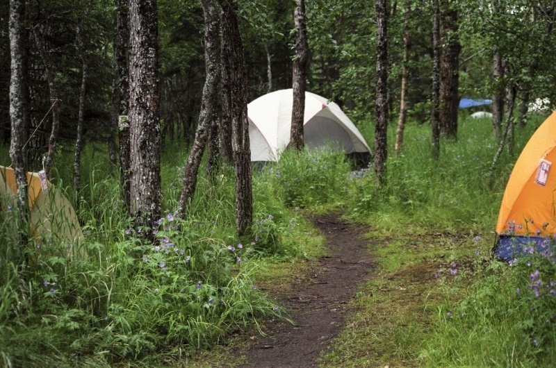 Camping in Katmai National Park.