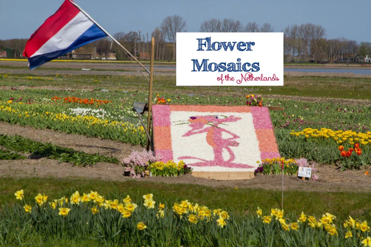 Flower Mosaics Netherlands