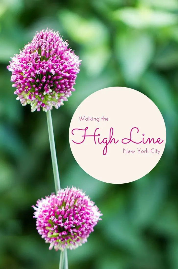 Walking the High Line in New York City.