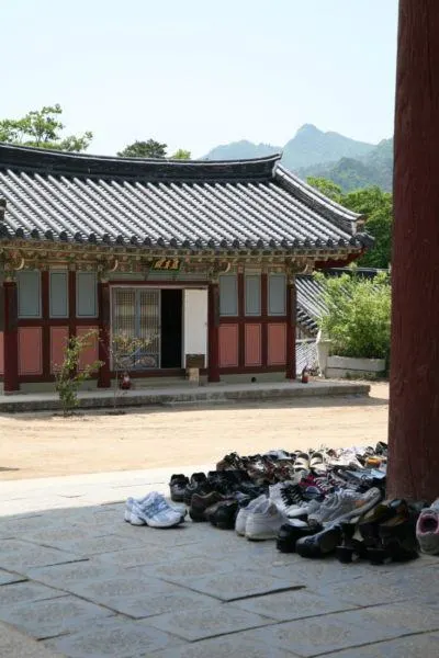 Korean temples are beautiful and peaceful. Click here to find out more about them.