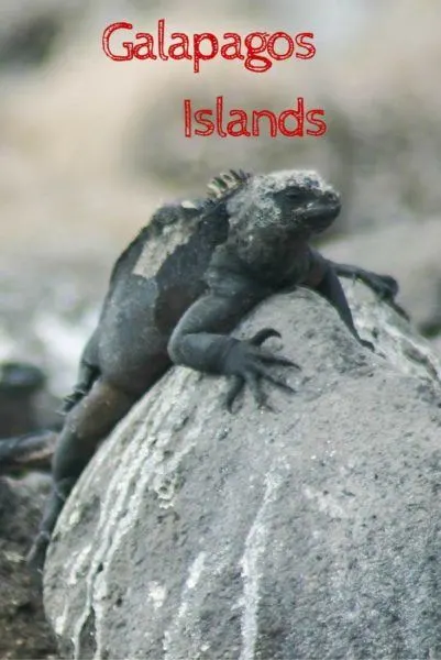 World Heritage Site Galapagos Island.