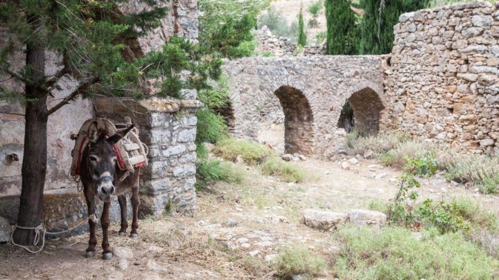 ancient greece road trip