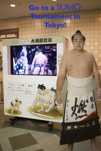The Sumo championships are a must-see while in Japan. Find out all about them here.
