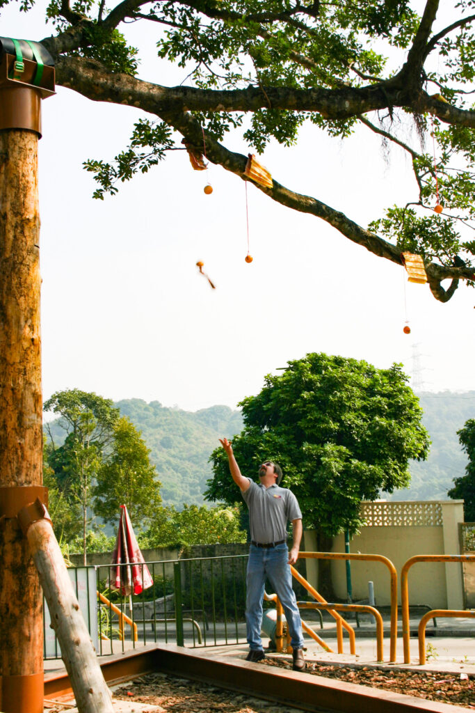 Throwing a wish into the tree at Tin Hau temple.