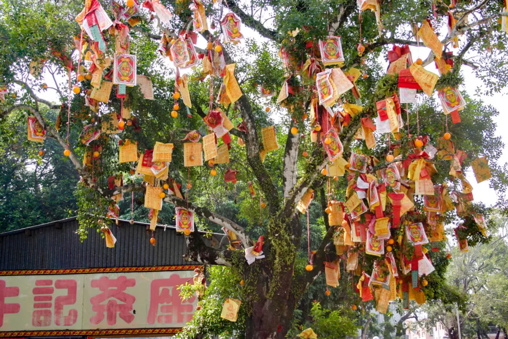 Tin Hau Temple Wishing Tree in Hong Kong.