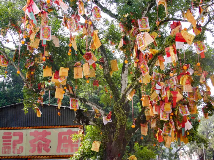 Tin Hau Temple Wishing Tree in Hong Kong.