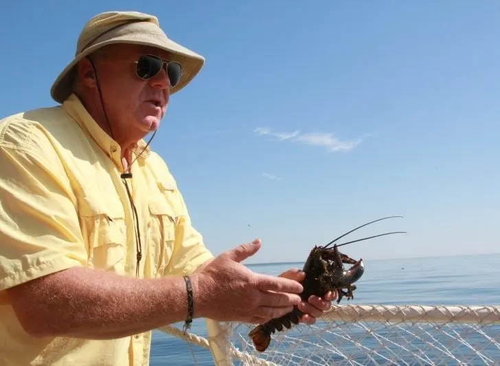 Our guide holds a lobster during our Lobster Tour in New Hampshire.