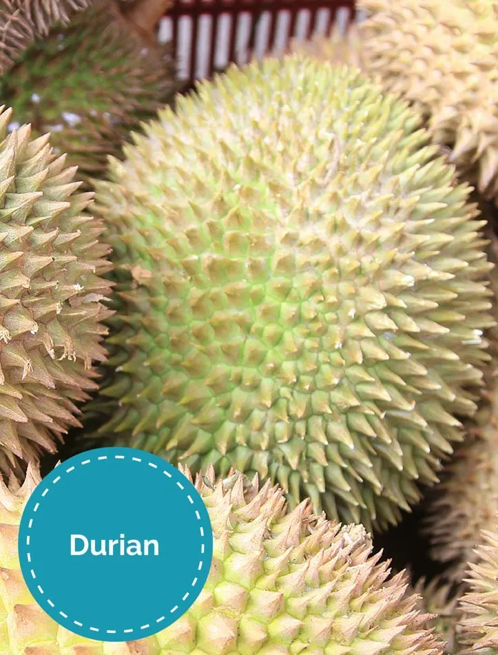 Do you love fresh fruit? How about trying new foods? Then when in Asia, you must try the King of Fruit - Durian! data-pin-url=