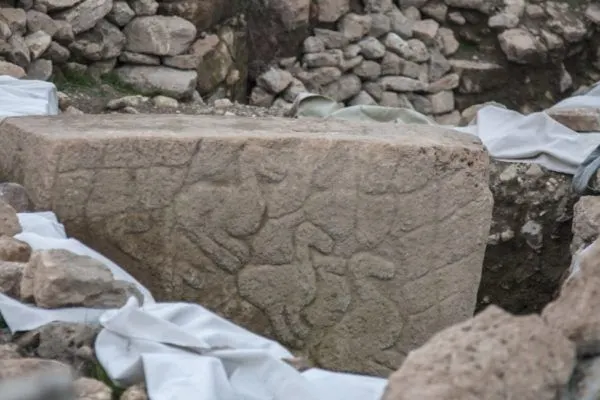 Three birds carved into a massive stone at Gobekli Tepe.