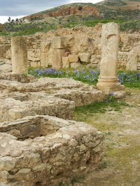 The beautiful purple flowers, showing off spring in Tunisia, made the site of Bulla Regia that much more fun to explore.