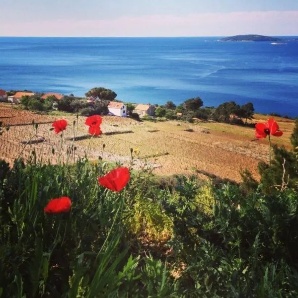 Red poppies looking out to the Adriatic sea.