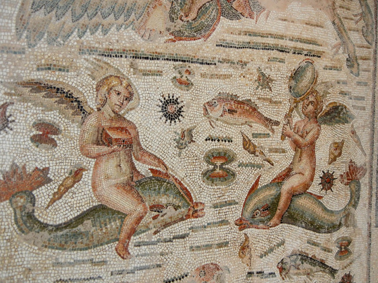 The Bardo Museum has a fantastic collection of Roman mosaics taken from the various sites in the country.