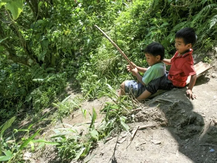 Young boys using a large banana leaf as a sled at the Batad terraces, Philippines.