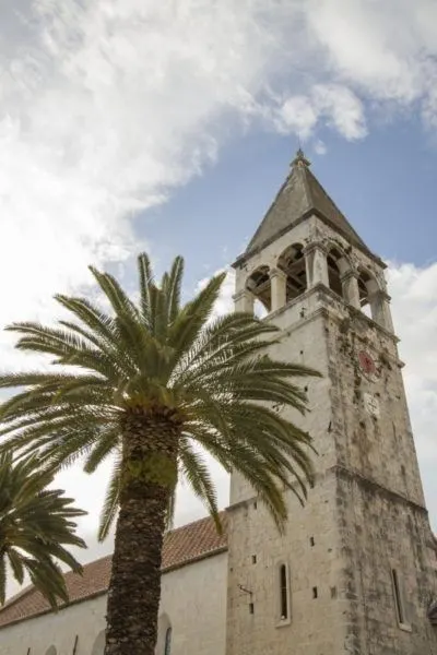 Palm tree in front of Bell tower in Trogir, Croatia.