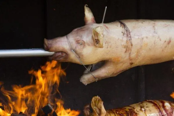 Young suckling pig on the spit in Croatia.