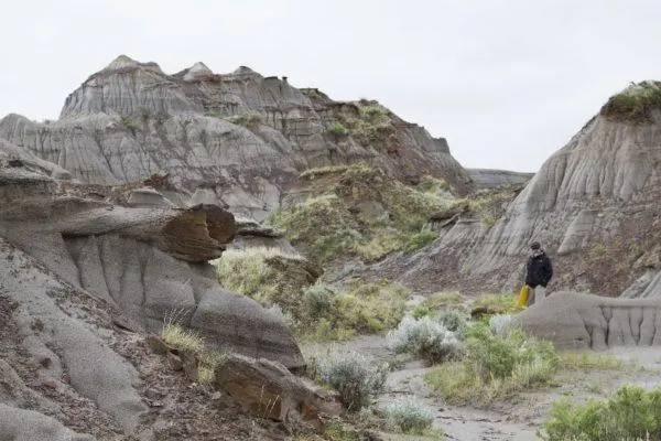 Jim is out in the badlands digging for dinosaurs.