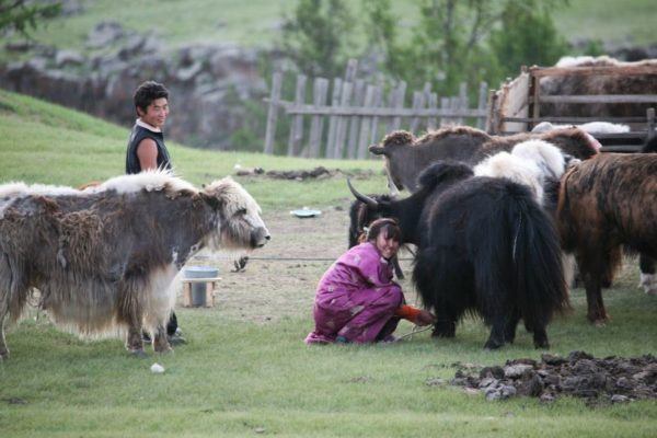 Top 10 Mongolia