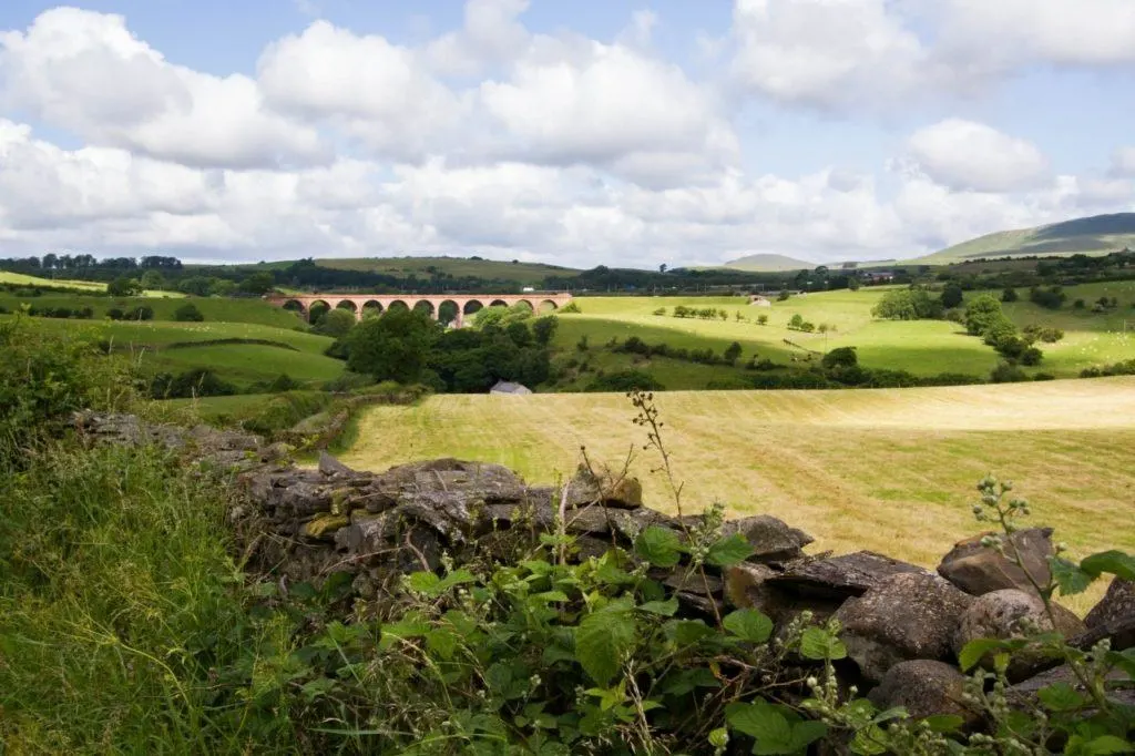 Stone walls, hedge rows, lush green fields and a picturesque train bridge in the Yorkshire Dales, England.