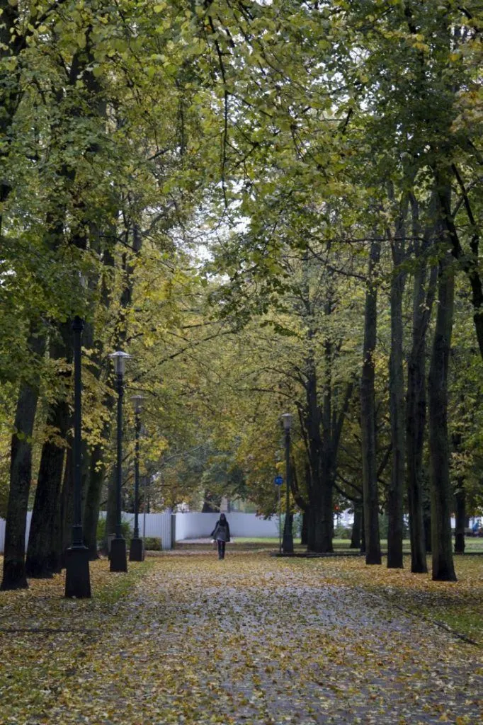 Fall foliage in the park in Riga.