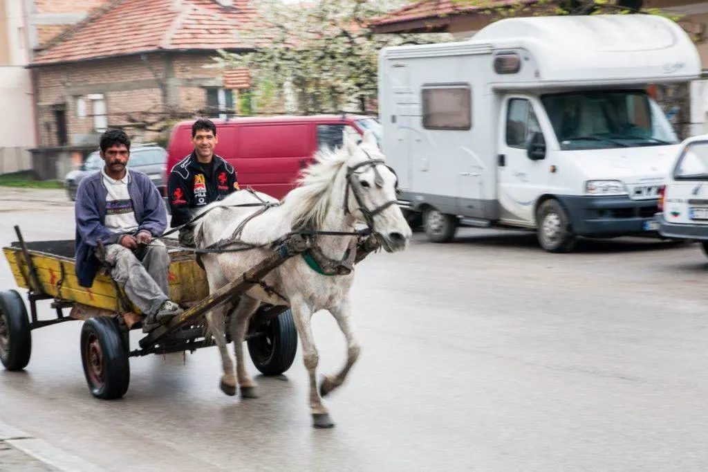 Two Bulgarian men riding in a horse drawn cart, 