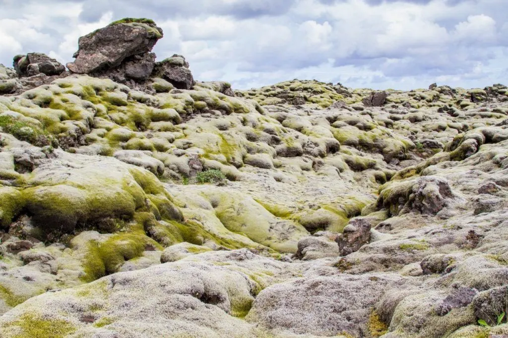Moss covered rocks create an eerie, alien landscape.