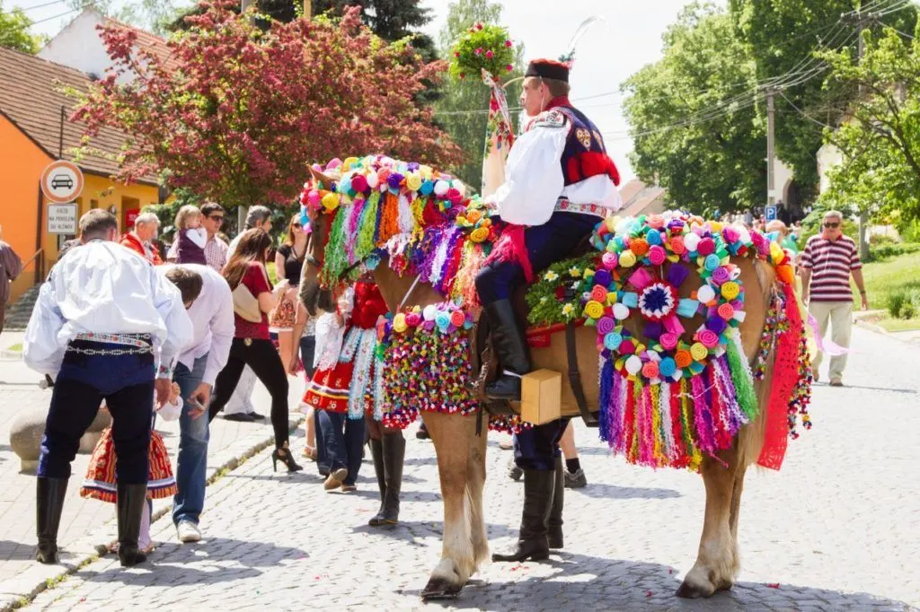 Colorful decorations adorn the horse of a Kings guard during the Ride of the Kings in Czechia.