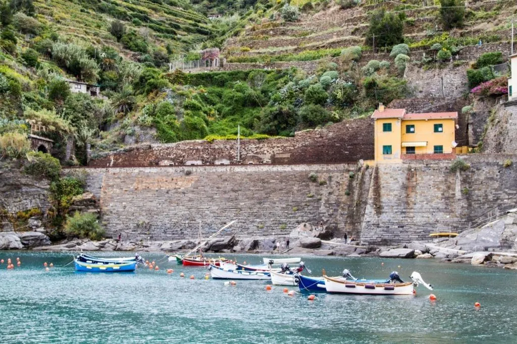 Small boat harbor with terrace farms rising the slopes behind in the Cinque Terre.