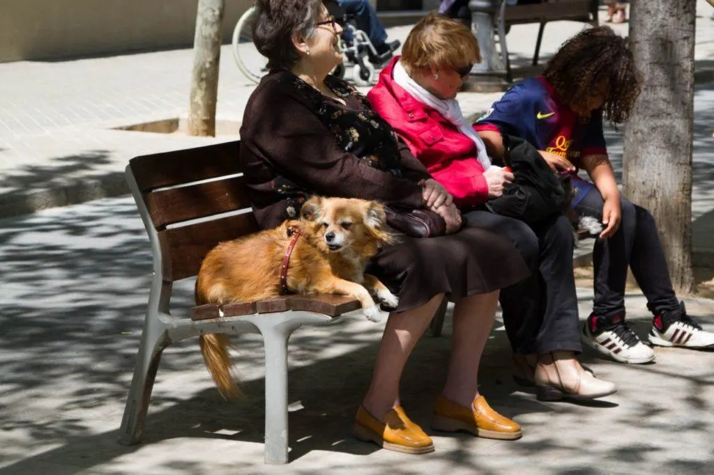 Three ladies and a dog take a rest break on a shady Las Ramblas bench.