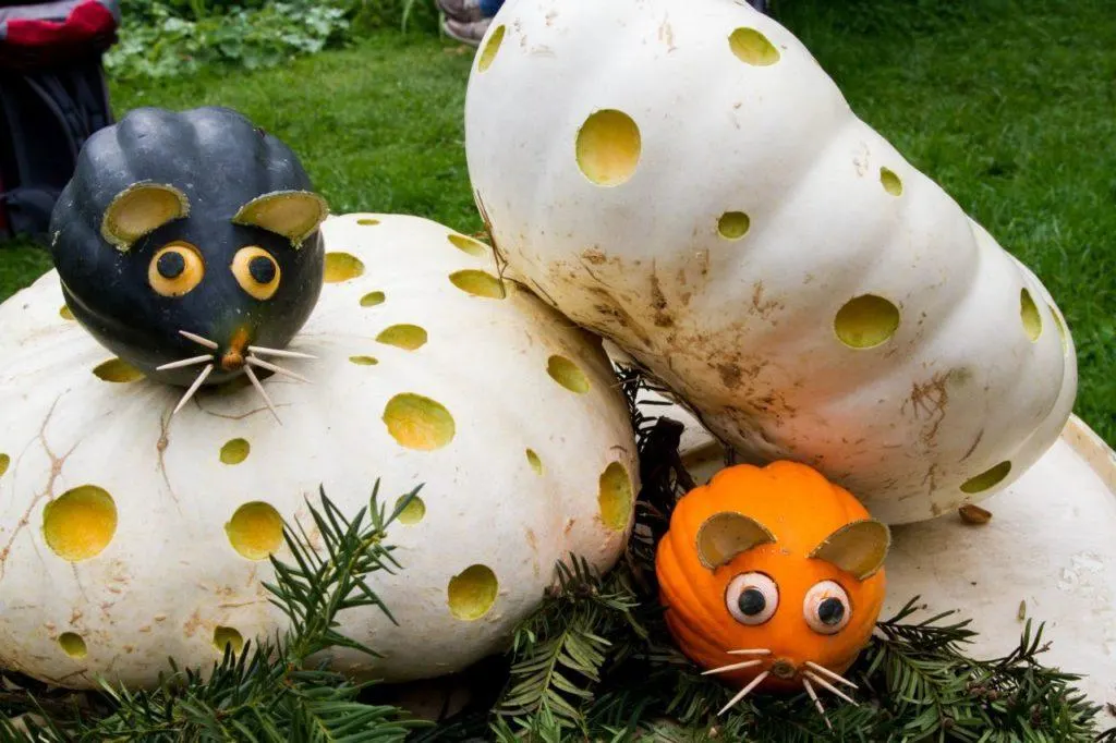 Cheese and mice pumpkin sculpture.