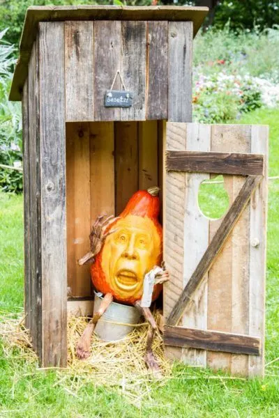 Hubbard pumpkin in an outhouse, one of the favorite installations at the festival.