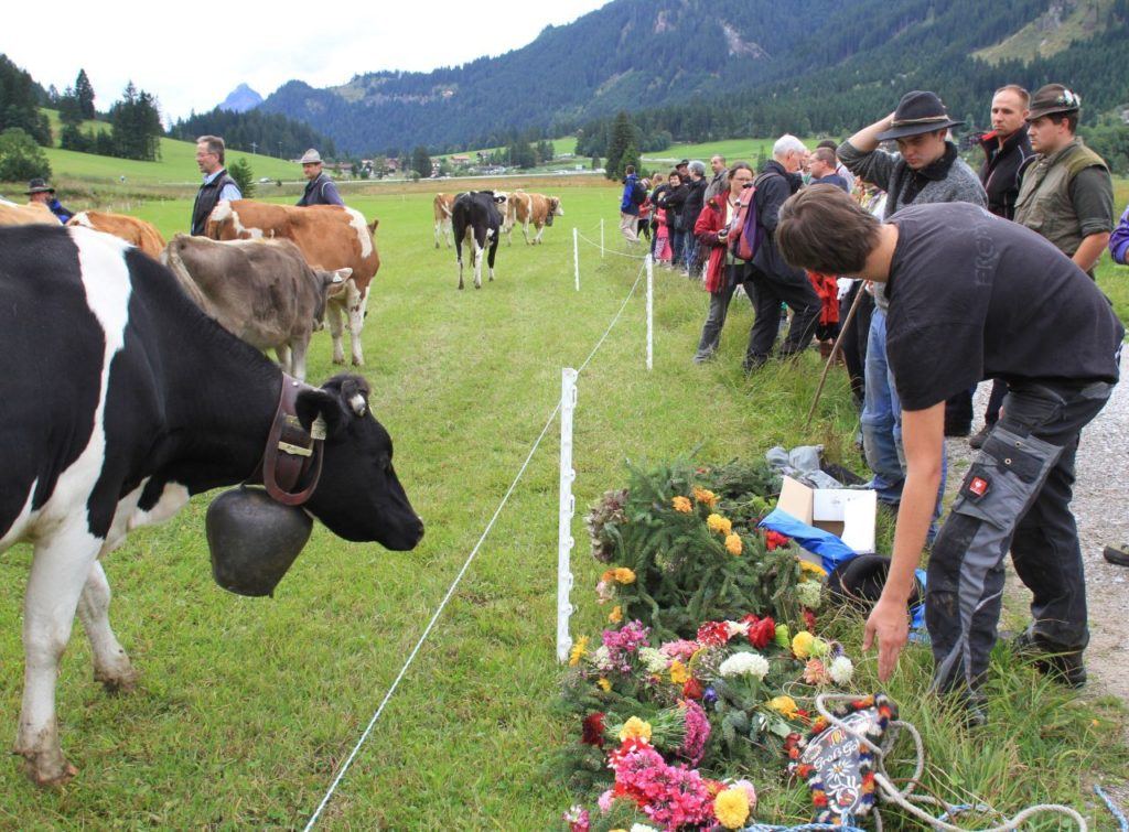 Decorating the cows in Austria.