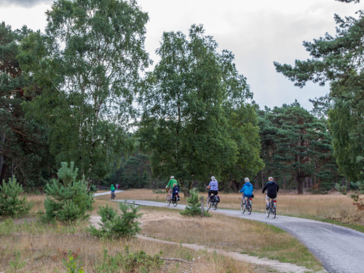 Riding one of the free bikes in the Hoge Veluwe National Park, in the Netherlands, is a must.