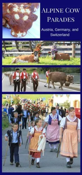 Don't miss out on some of the best cultural events of the Alps. Celebrate with the locals as the cows come home from their summer pastures.