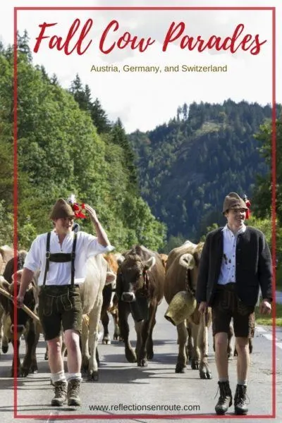 Fall cow parades are a cultural must-do in the Alpine regions of Germany, Austria, and Switzerland each fall.