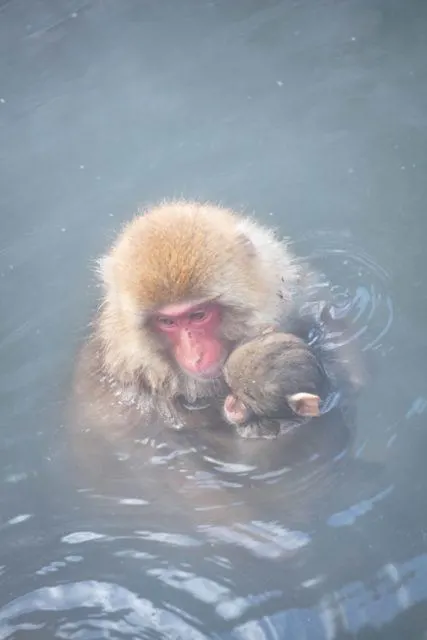 Mom and baby taking a bath.