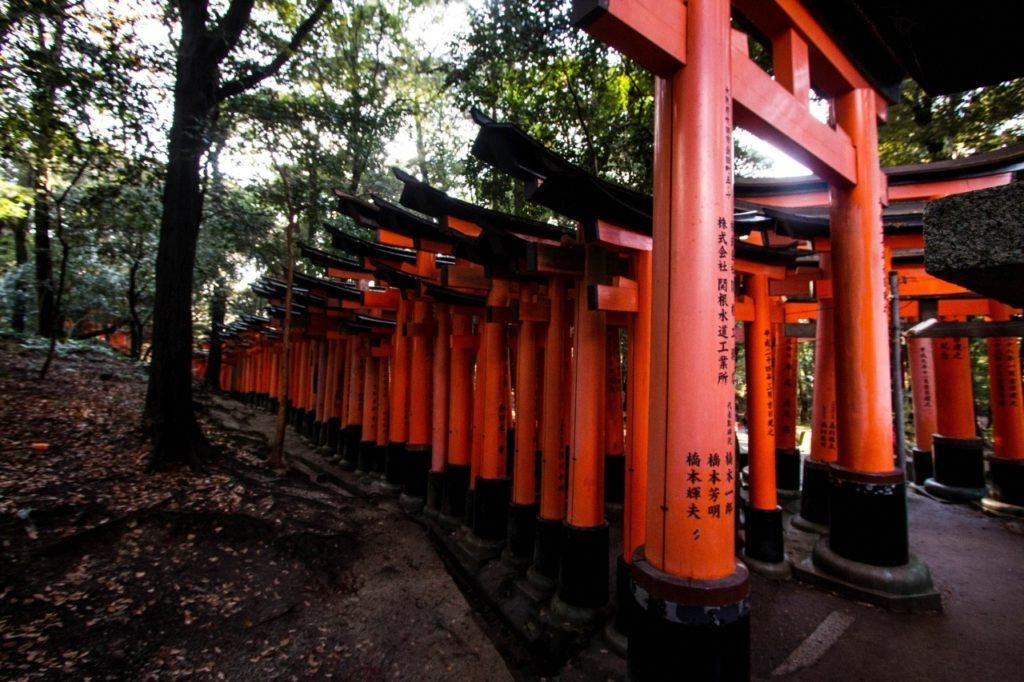 Hundreds of Torii gates on the path at Fushimi Inari Shrine in Kyoto.