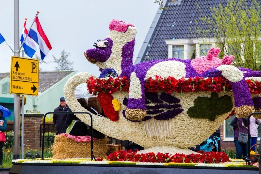 Giant purple and white cow reclining in a tea cup, a parade float made out of flowers.