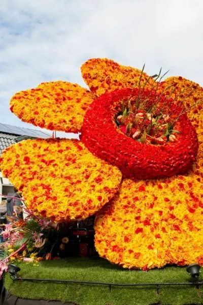 Giant flower float made out of yellow, red, and orange flowers.