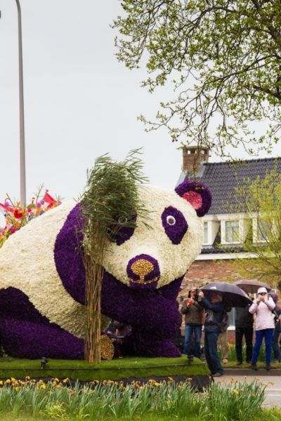 Gigantic panda bear parade float made out of flowers.