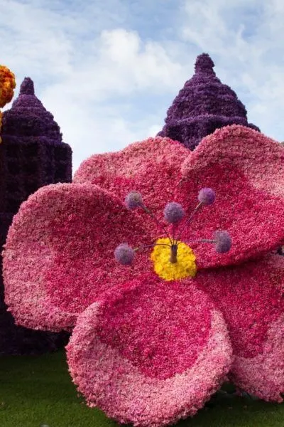 Pink flower made out of flowers on a Tulip Festival parade float.