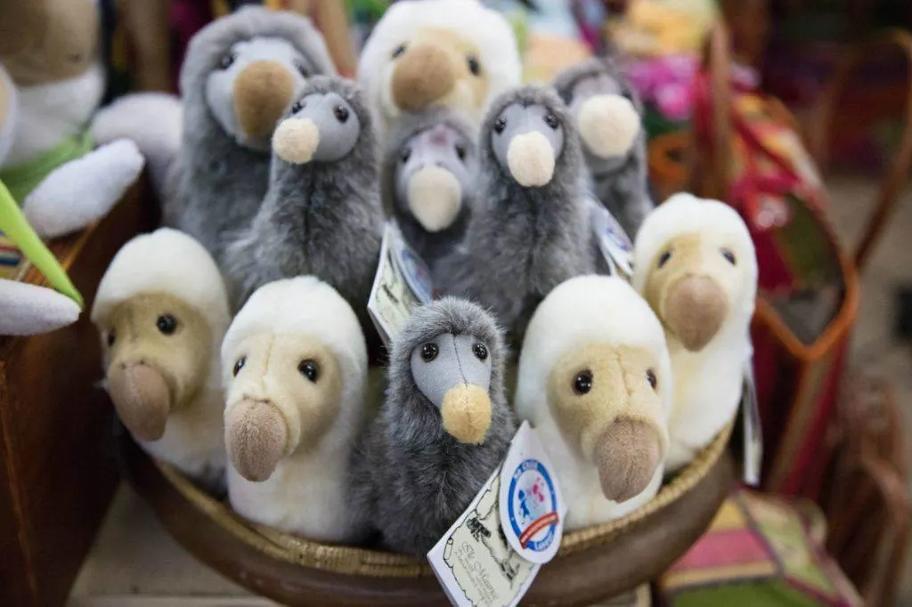 Stuffed toy dodo birds in a basket.