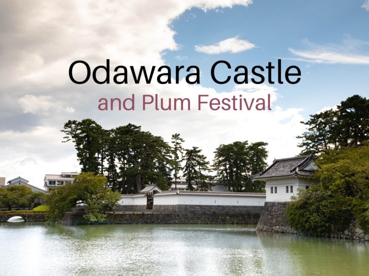 Odawara Castle and moat