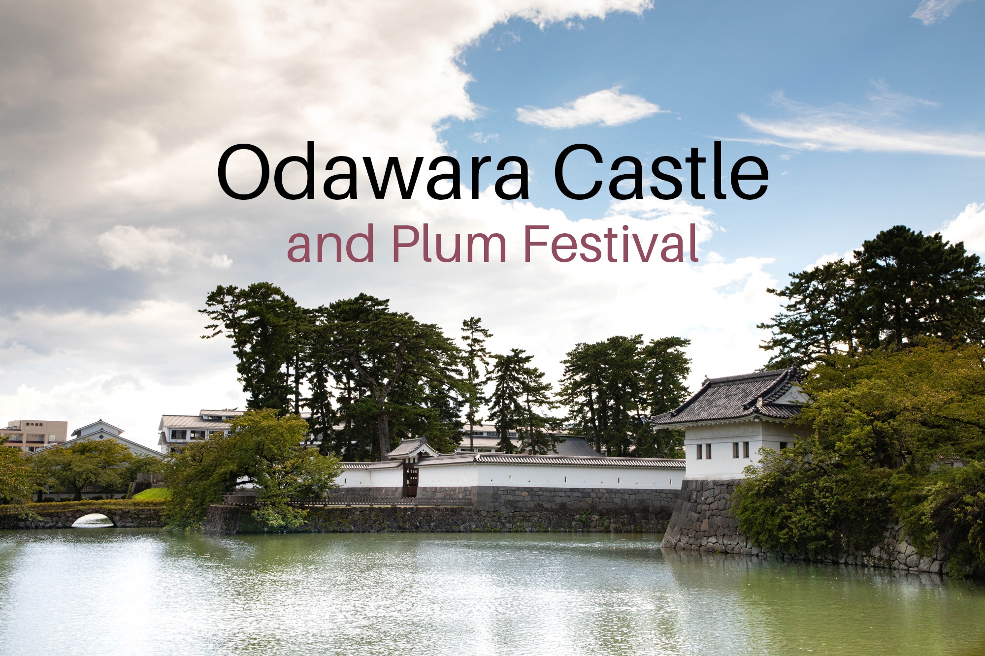 Odawara Castle and moat