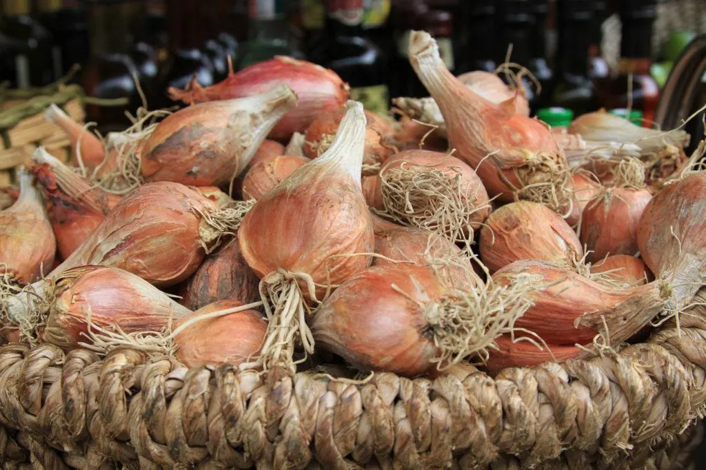 Market onions.