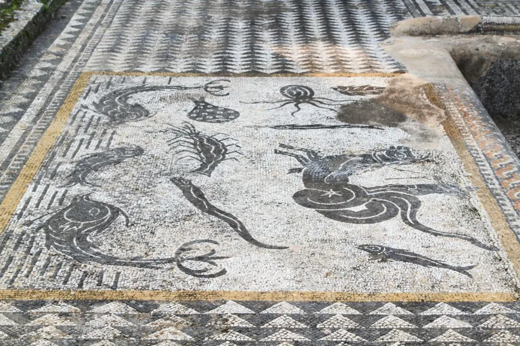 A black and white mosaic floor near the pool has a seahorse and other sea creatures.