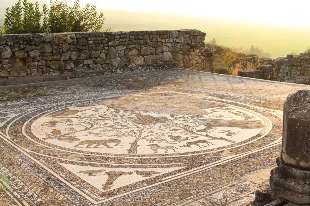 The Orpheus Mosaic with lions, tigers, elephants and more at the Roman ruins in Volubilis.