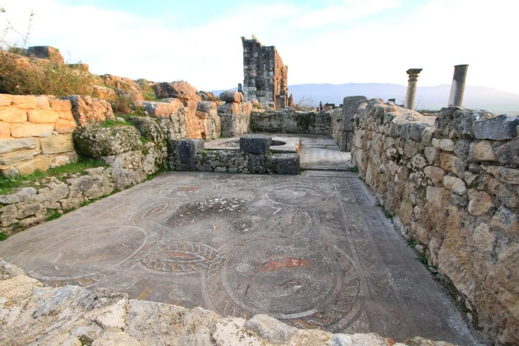 The mosaic floors in Volubilis are in amazing condition considering they are over 2000-years-old and are open to the elements.