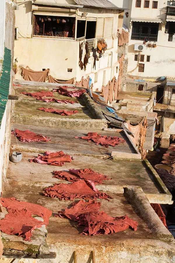 Pelts drying on the Moroccan tannery roof.