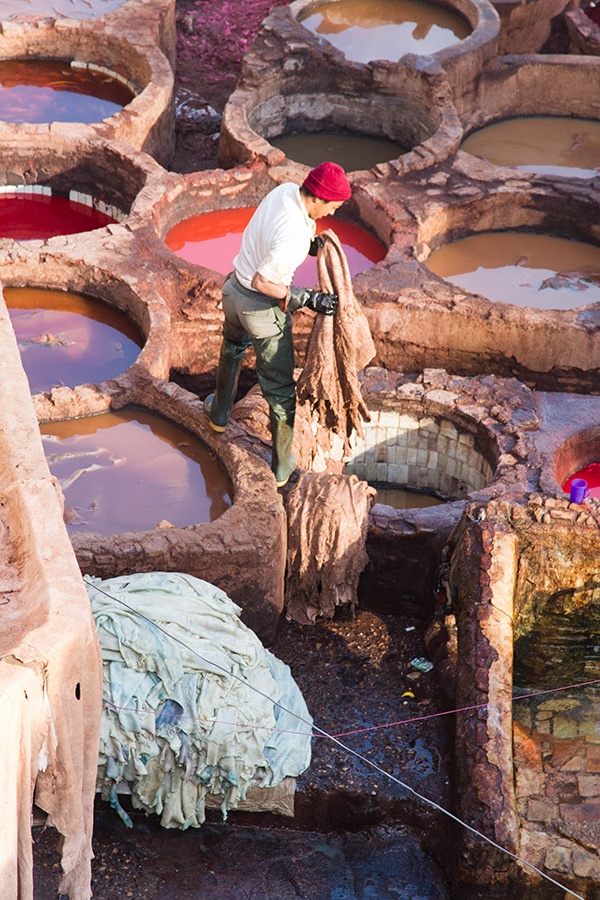 Fez tannery worker dips the pelts into the dye pots.