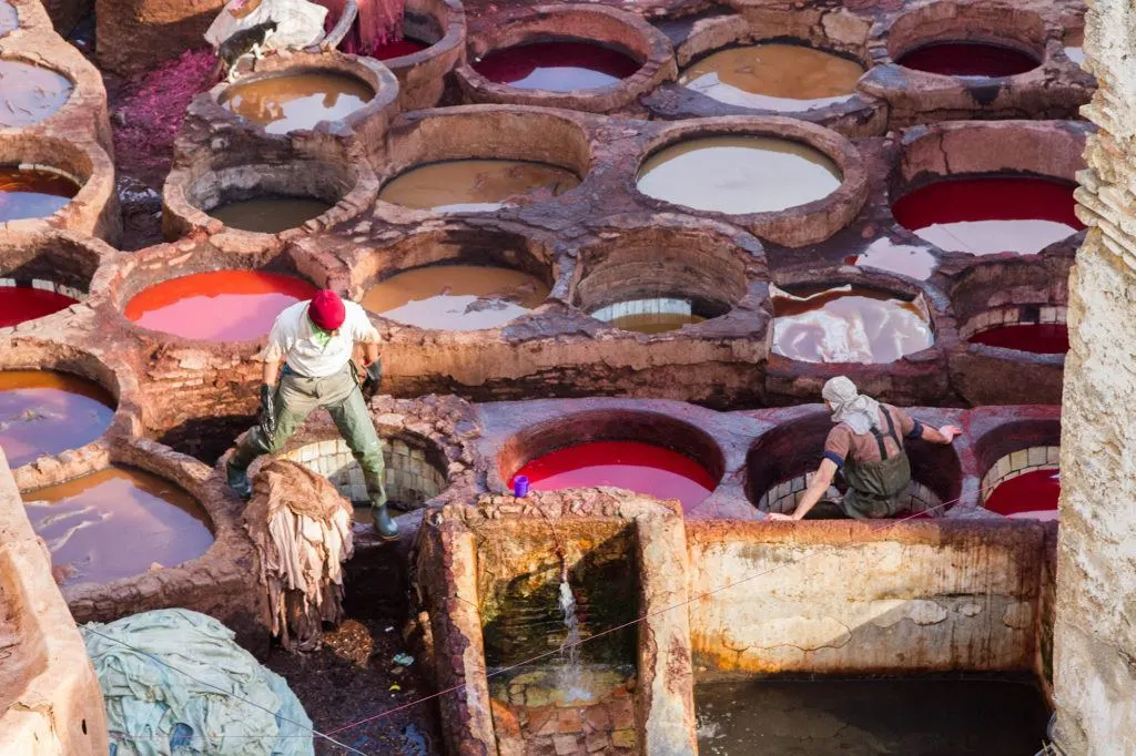 Taking a tour is the best way to visit Fez tanneries, and the Chouara Tannery dye pots are a sight you won’t want to miss.